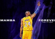 开云在线赛事平台-美加墨世界杯焦点战，魔术强势晋级，黄蜂折翼的战术启示