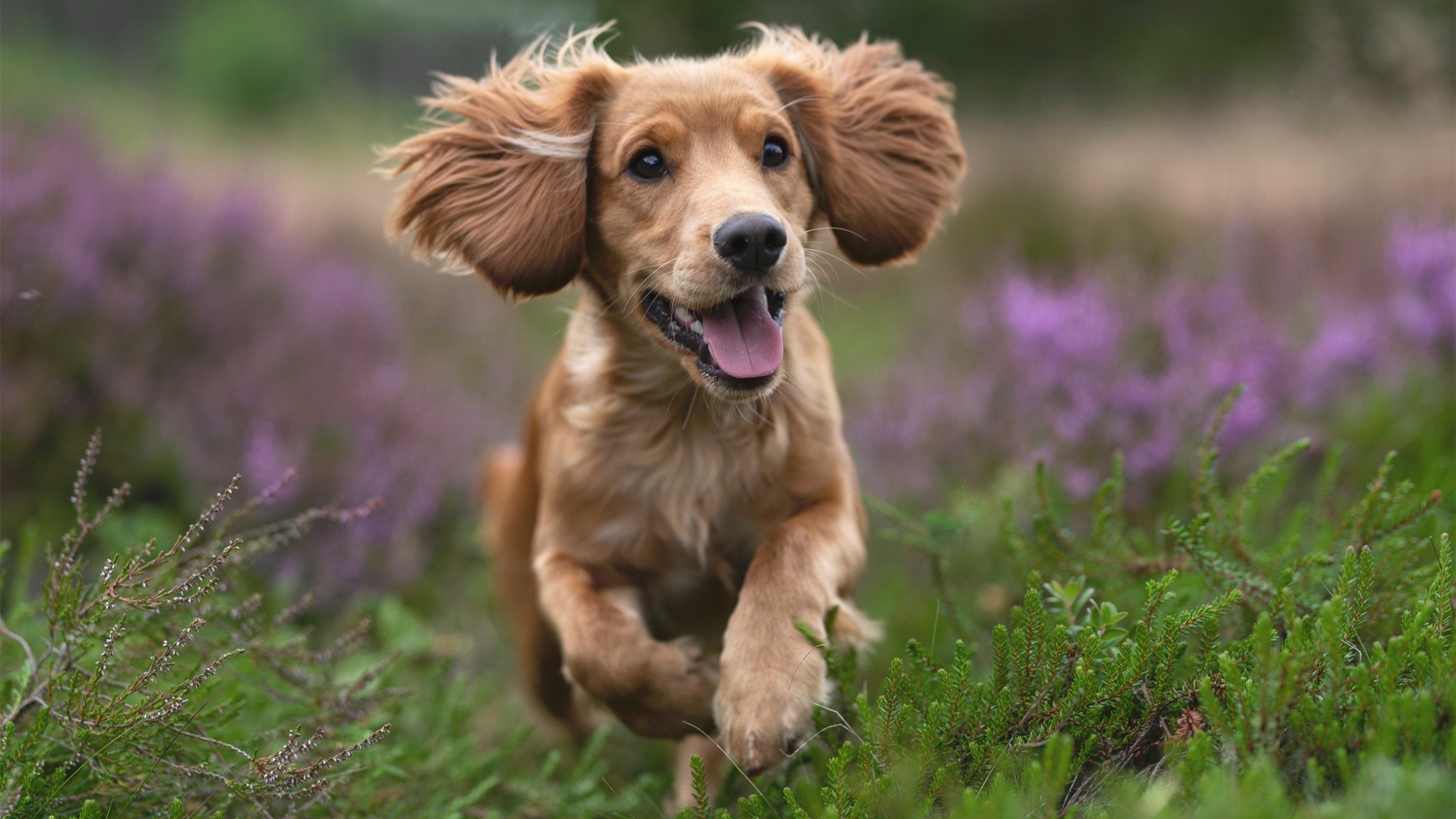 跨界之战，广厦生死局映照英超争冠，西亚卡姆式接管启示录