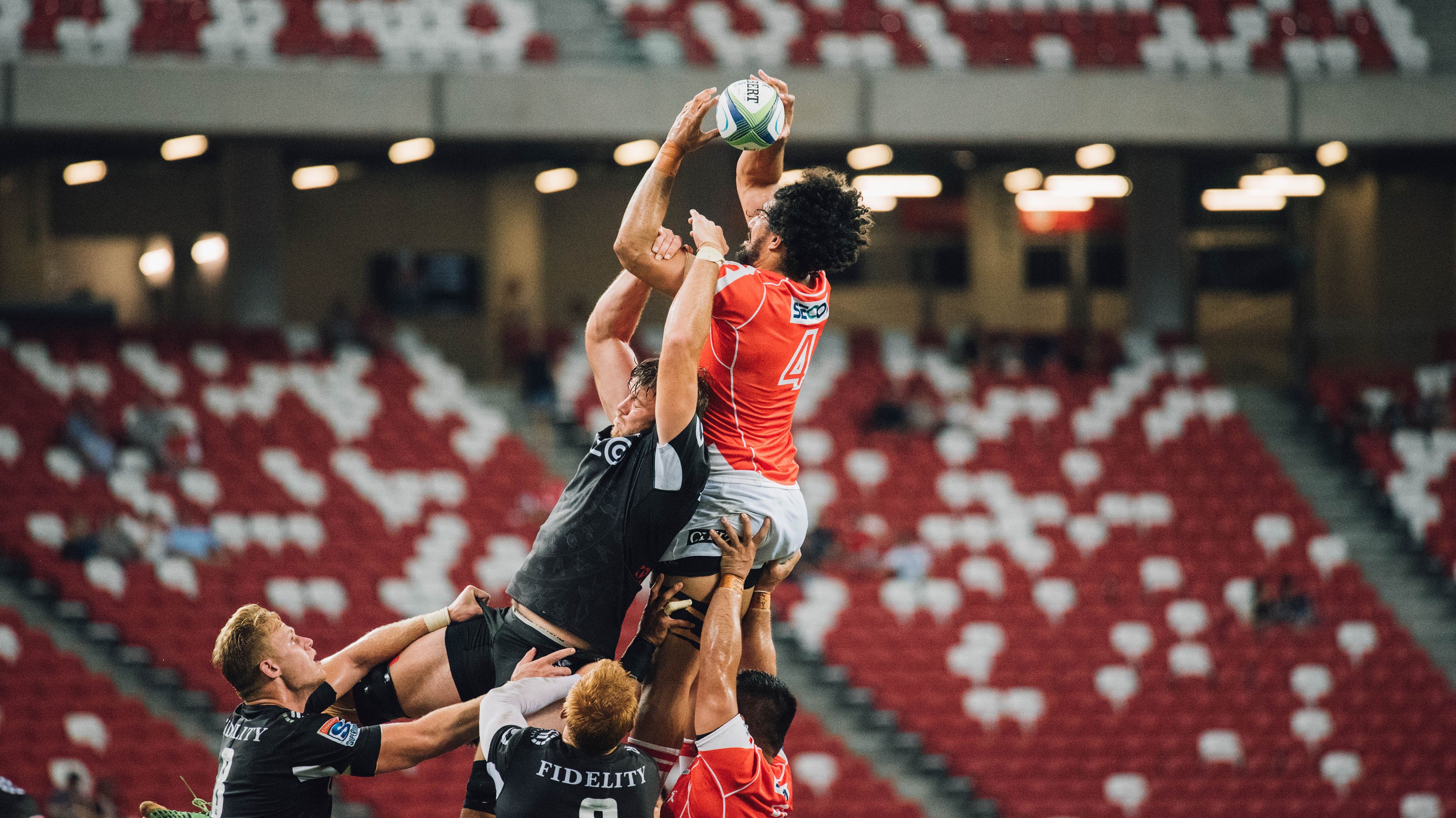 霍勒迪的沉默之刃,当数据噤声时,勇士听见了心跳的轰鸣